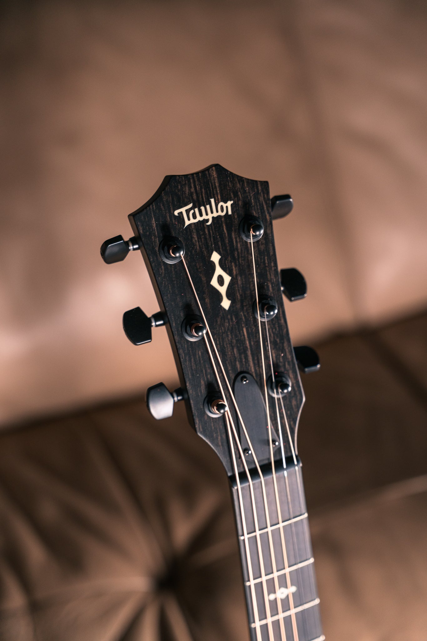 Taylor Next Generation Builder's Edition 324ce