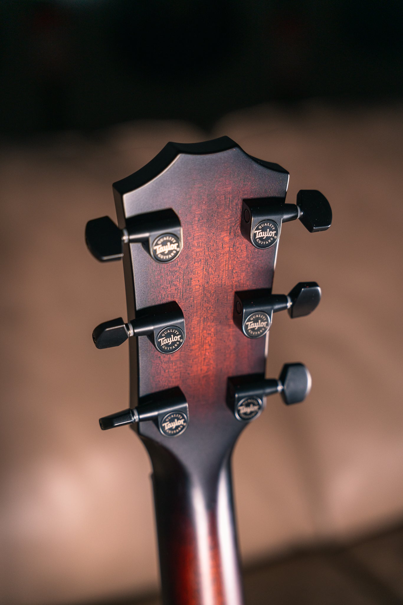 Taylor Next Generation Builder's Edition 324ce