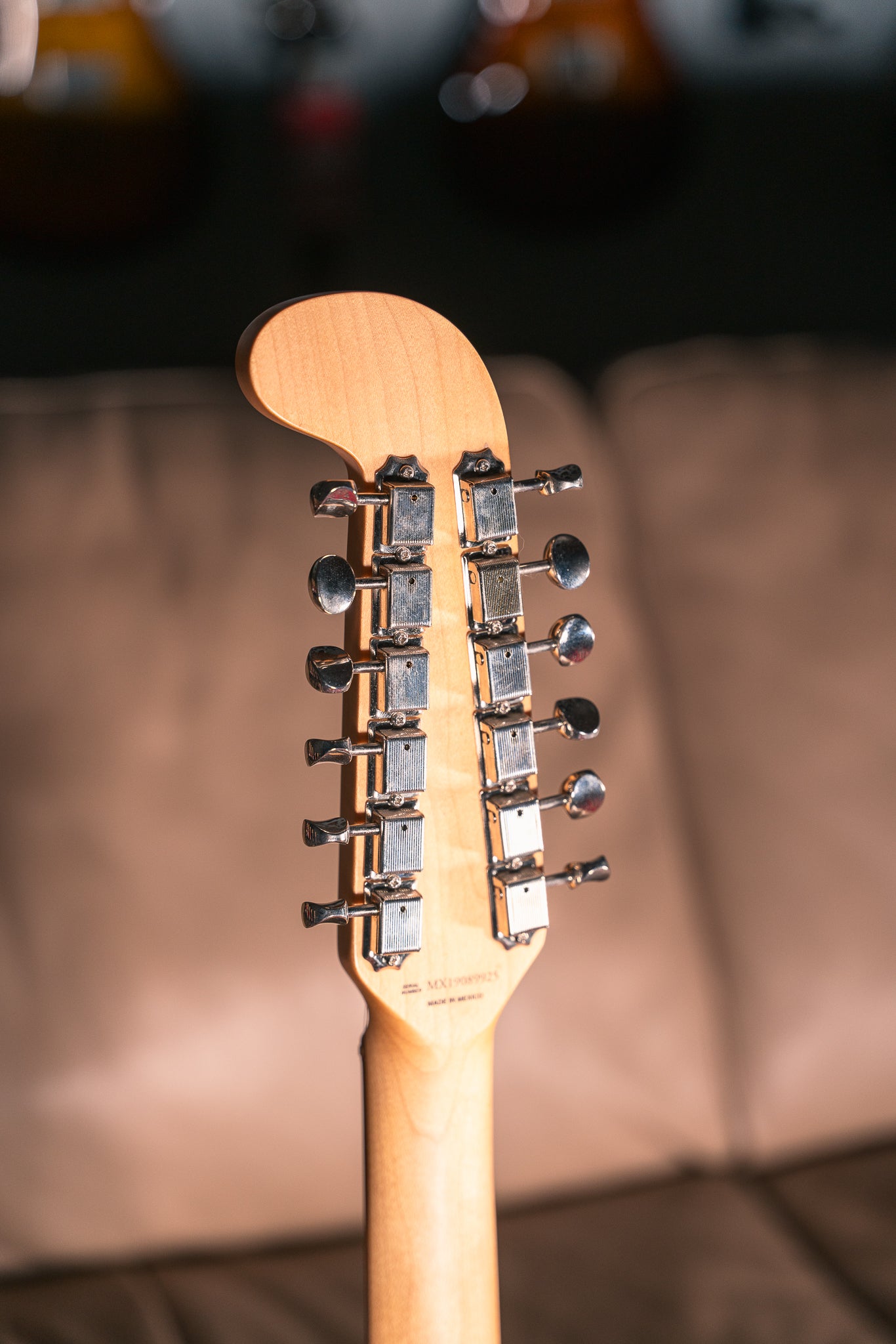 Fender - 2019 - Alternate Reality XII in Lake Placid Blue