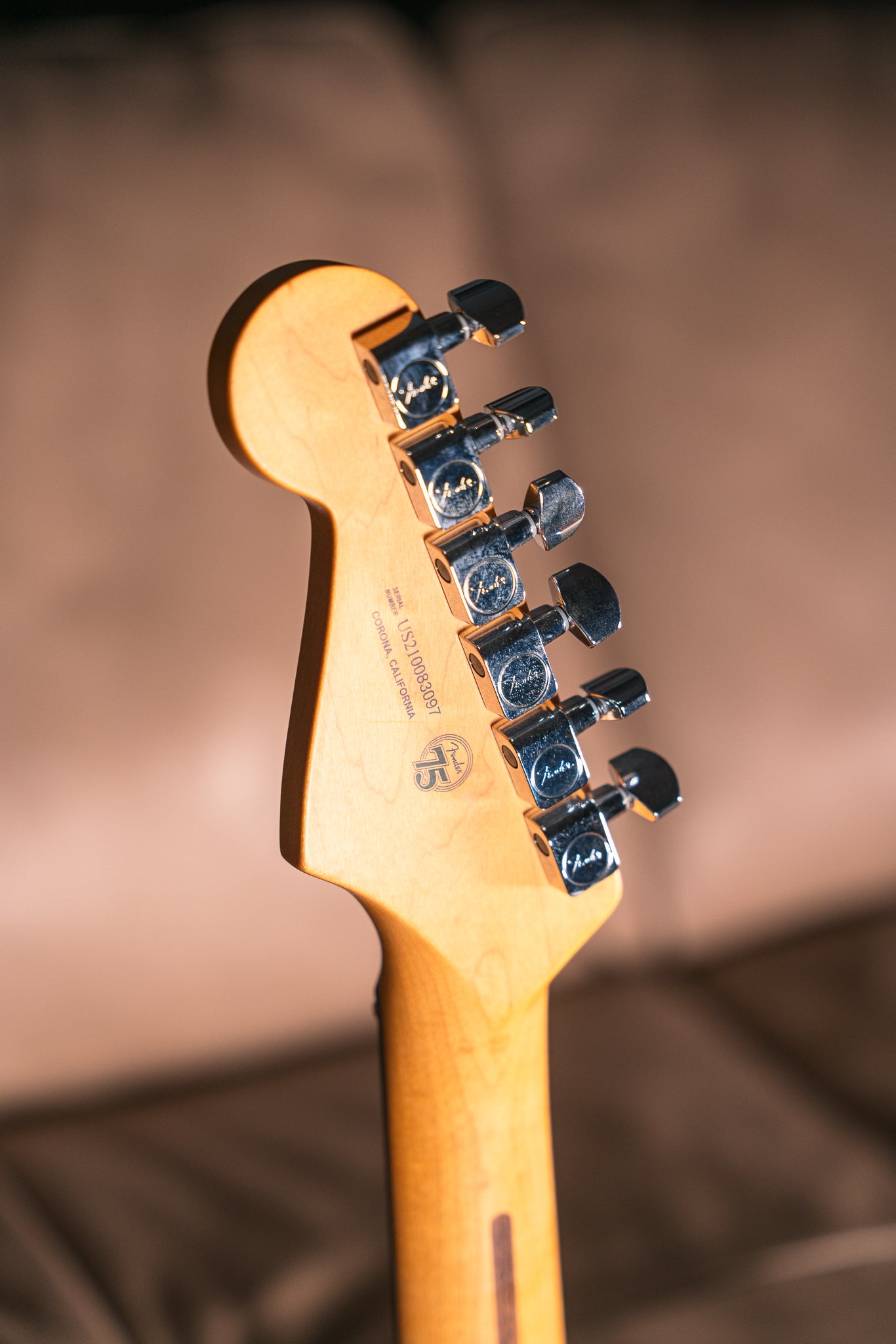 Fender American Professional II Stratocaster in Olympic White