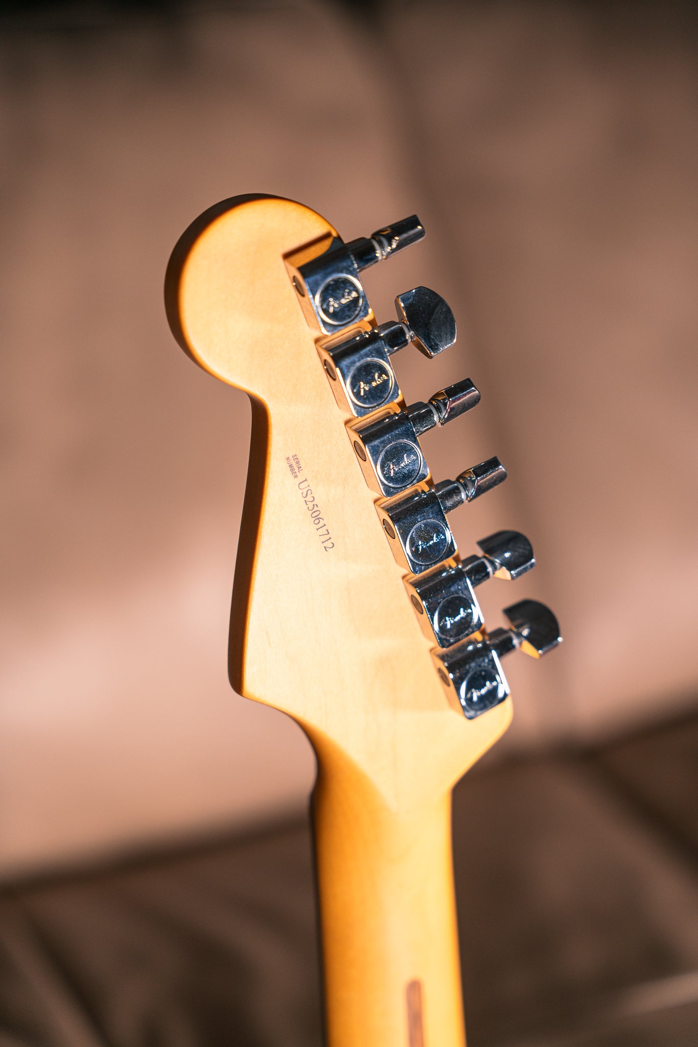 Fender LTD American Professional II in Burgundy Mist Metallic