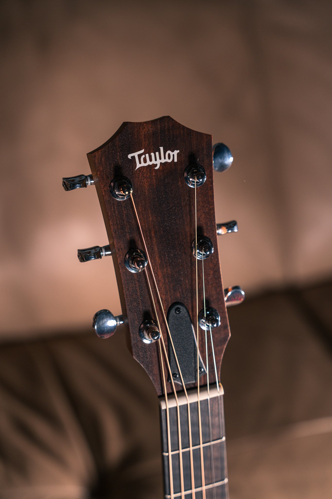 Taylor 14ce