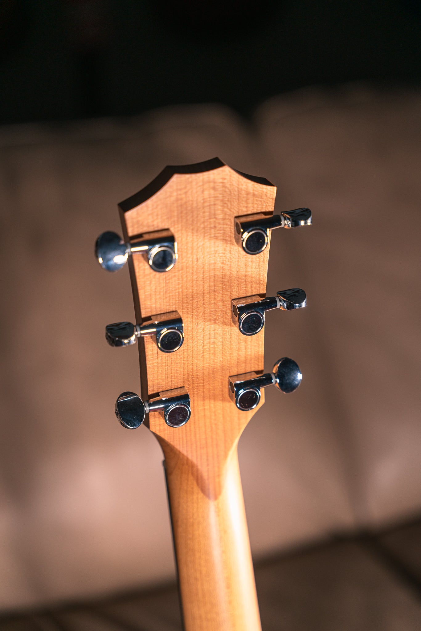 Taylor 14ce