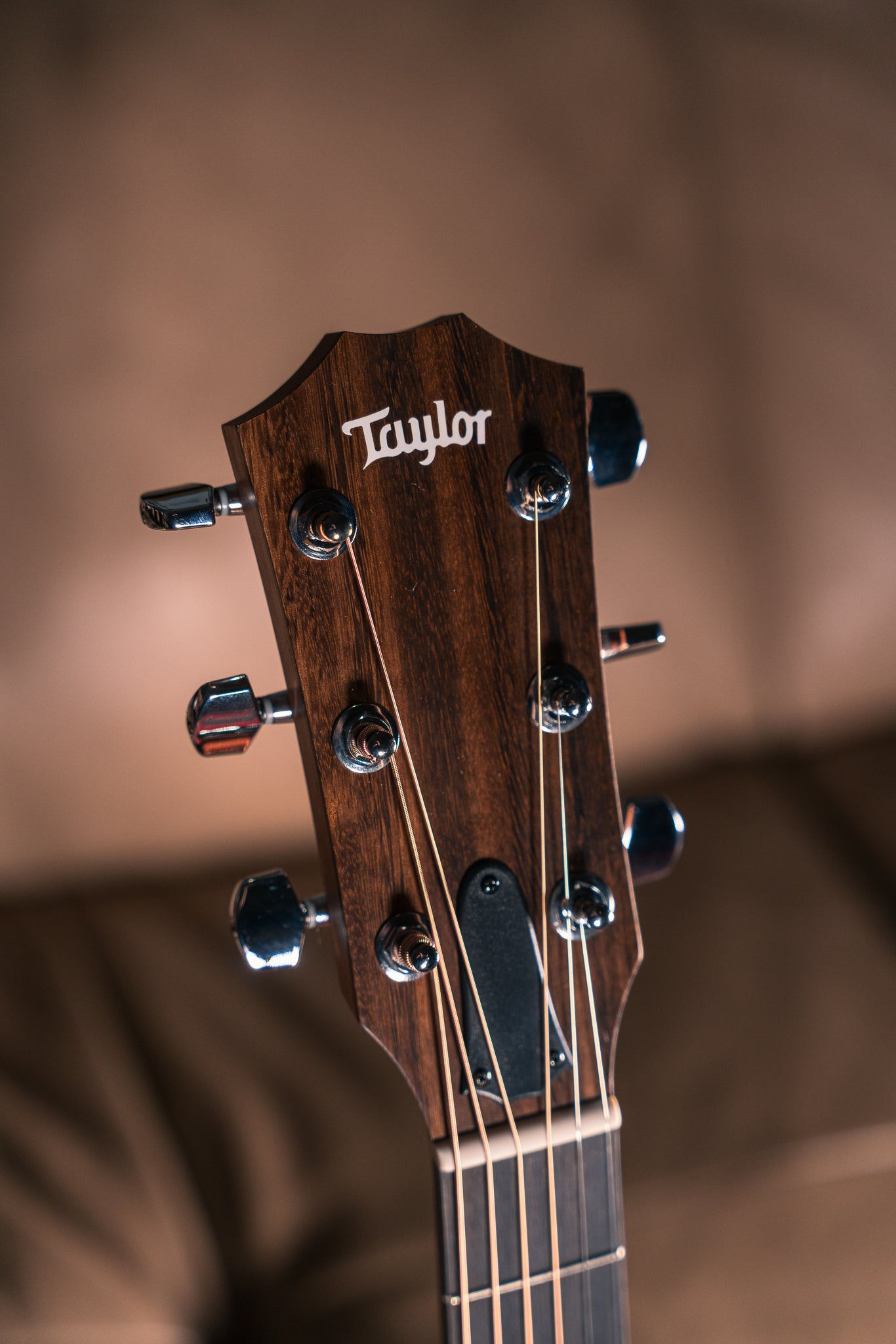 Taylor 112ce Special Edition Honeyburst