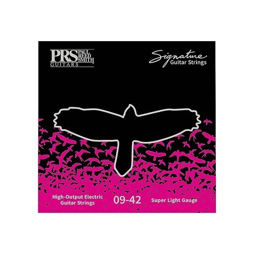 PRS Signature Electric Strings 9-42
