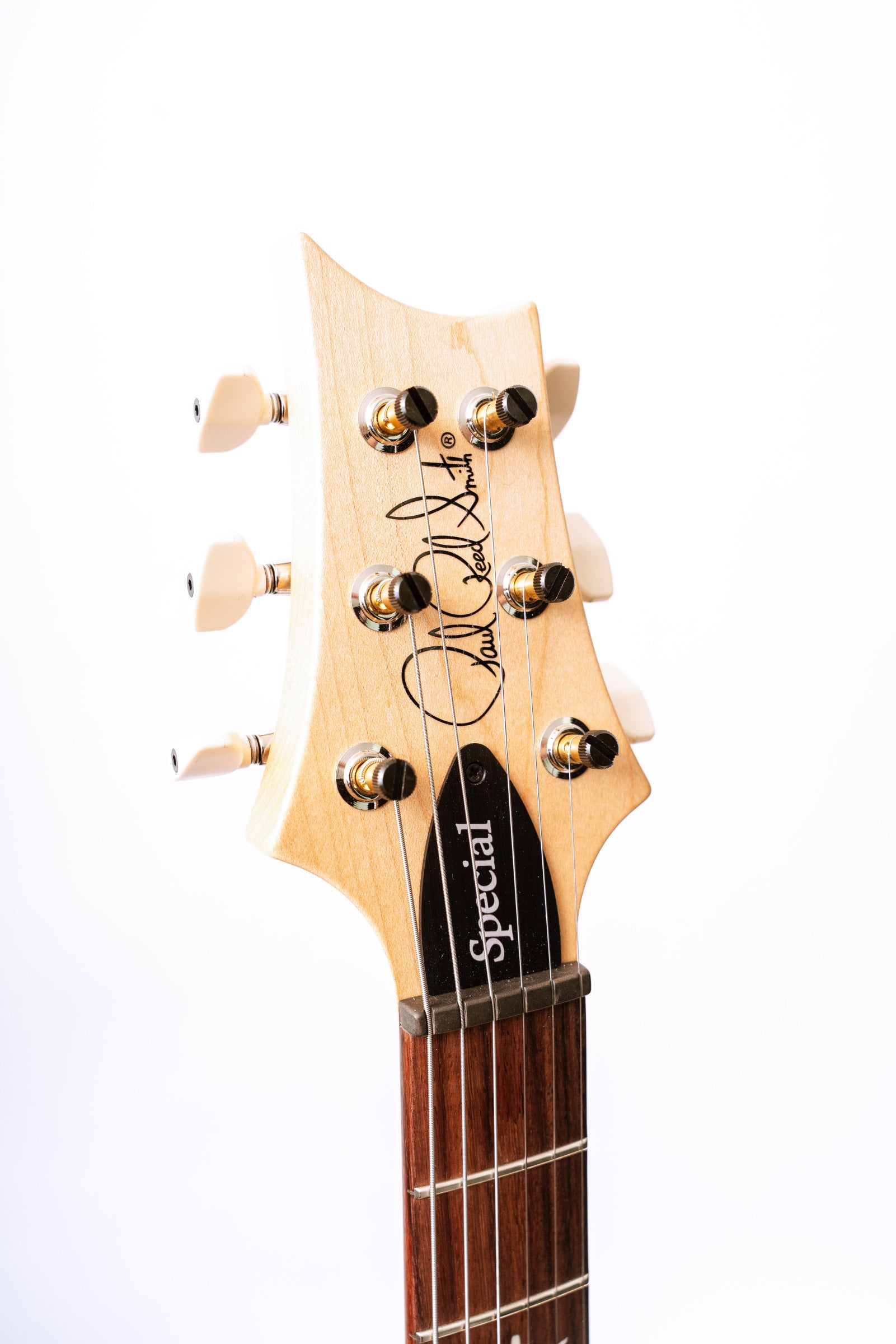 PRS Swamp Ash Special in Black Doghair Smokeburst